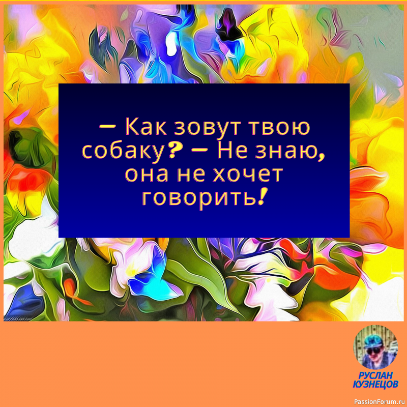 Родство душ определяется юмором.