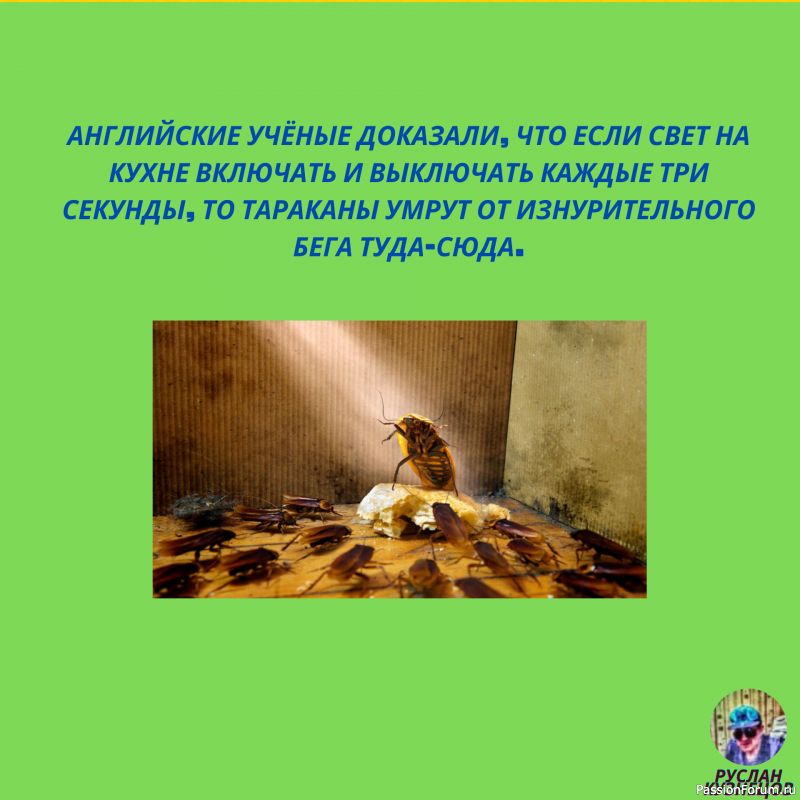 Свежие анекдоты на сегодня