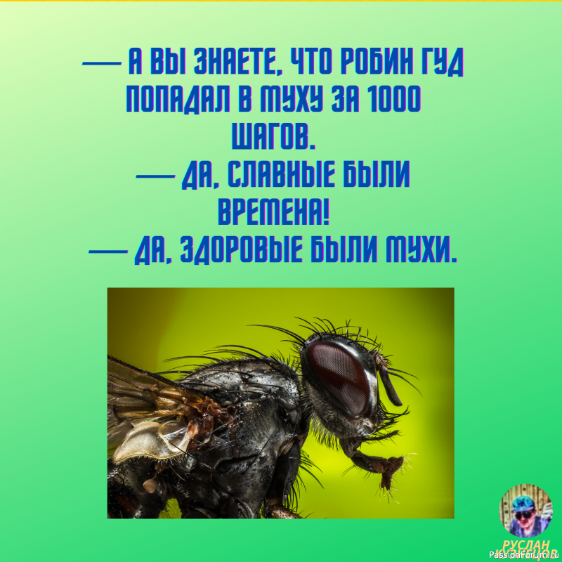 Вечерняя улыбка друзьям не помешает!!!!!!!!!!!!!!!!