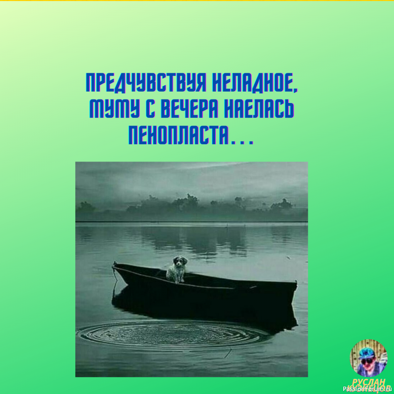 Вечерняя улыбка друзьям не помешает!!!!!!!!!!!!!!!!