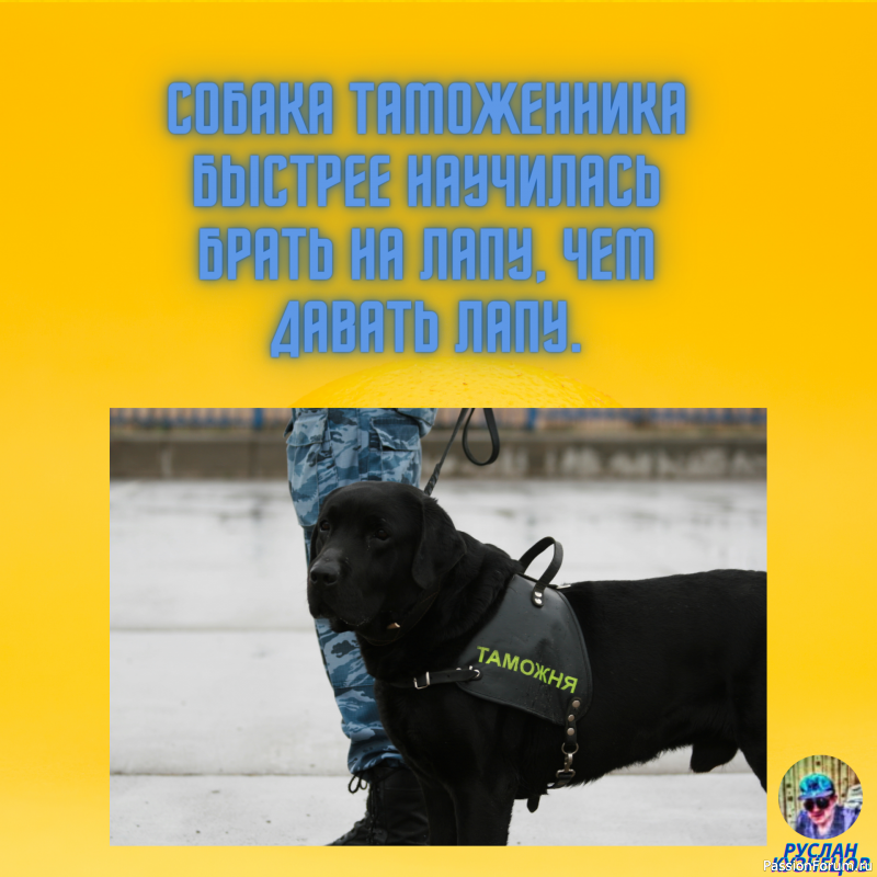 Юмор &ndash; это искусство!!!