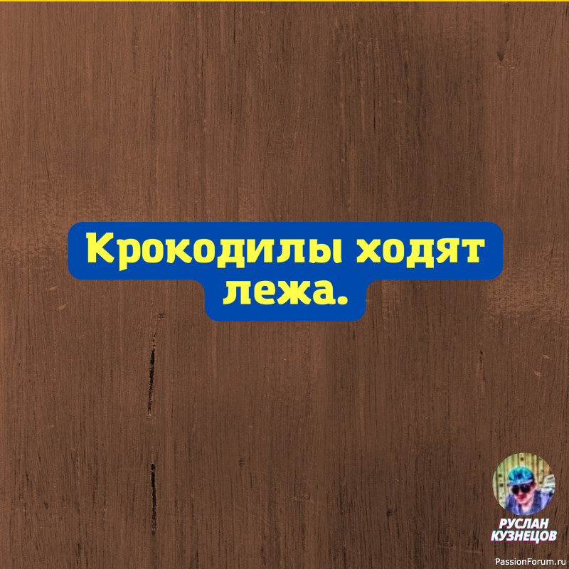 Мало обладать остроумием, нужно ещё уметь избегать его последствий