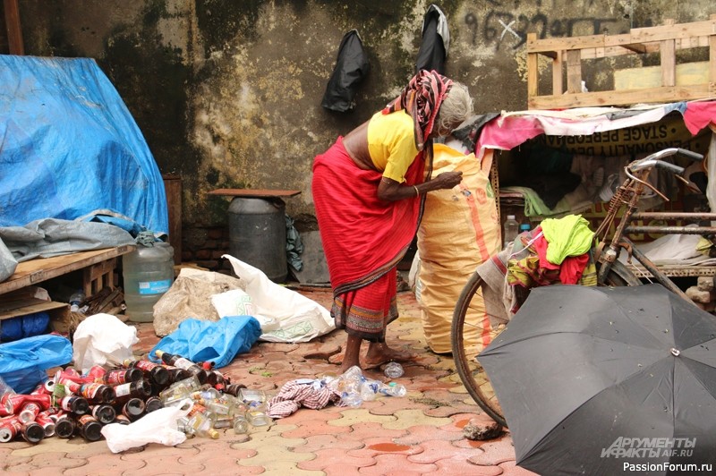 &laquo;С тараканами тут лучше дружить&raquo;. Как живут россиянки в Индии