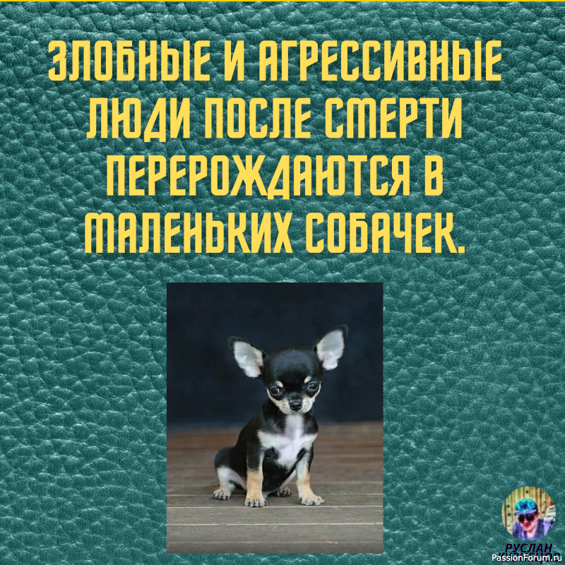 И только для Вас, опять немного юмора!!!!!!!!!
