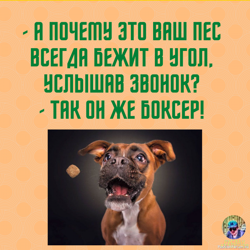 Вечерний Юмор!!! Для Вас, мои хорошие!!!