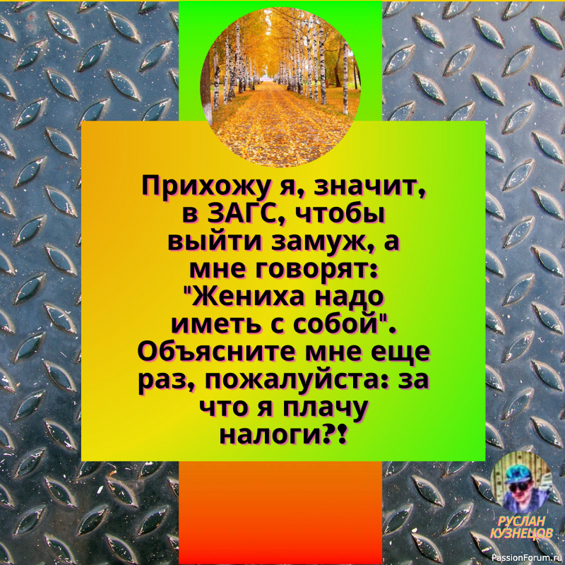 Идеал жениха для большинства девушек — принц с наивностью коня.