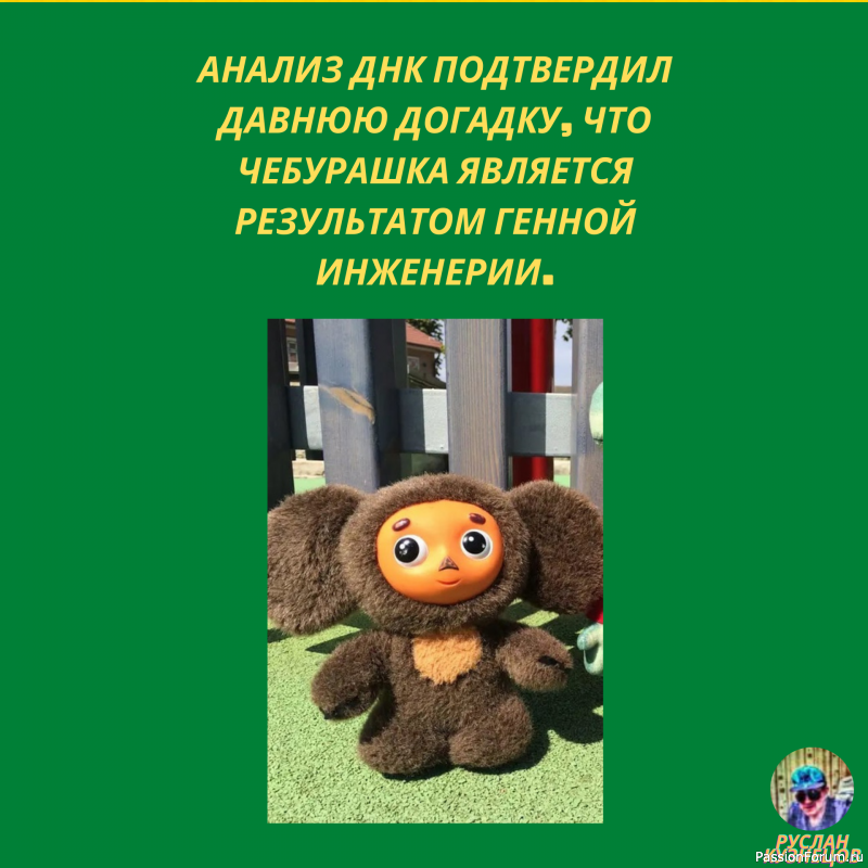 Свежие анекдоты на сегодня