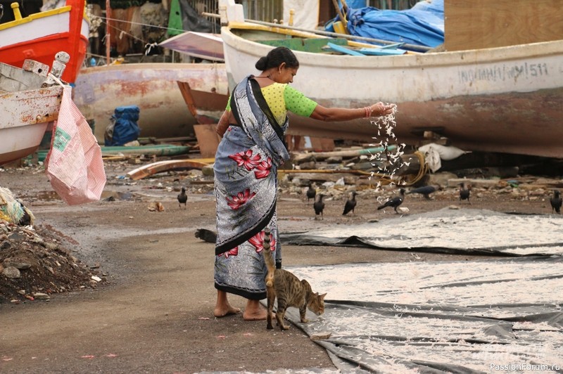 &laquo;С тараканами тут лучше дружить&raquo;. Как живут россиянки в Индии
