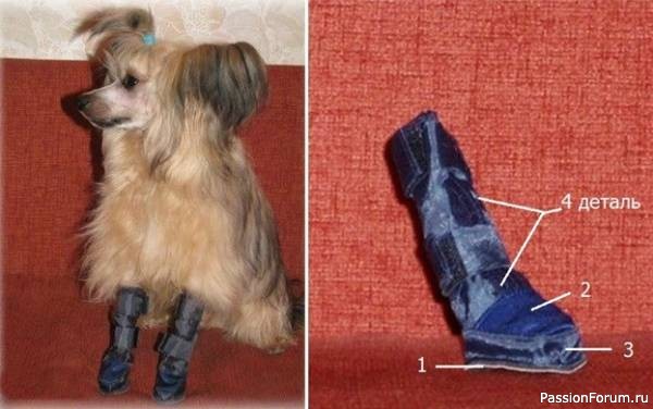 Домашняя обувь для собаки