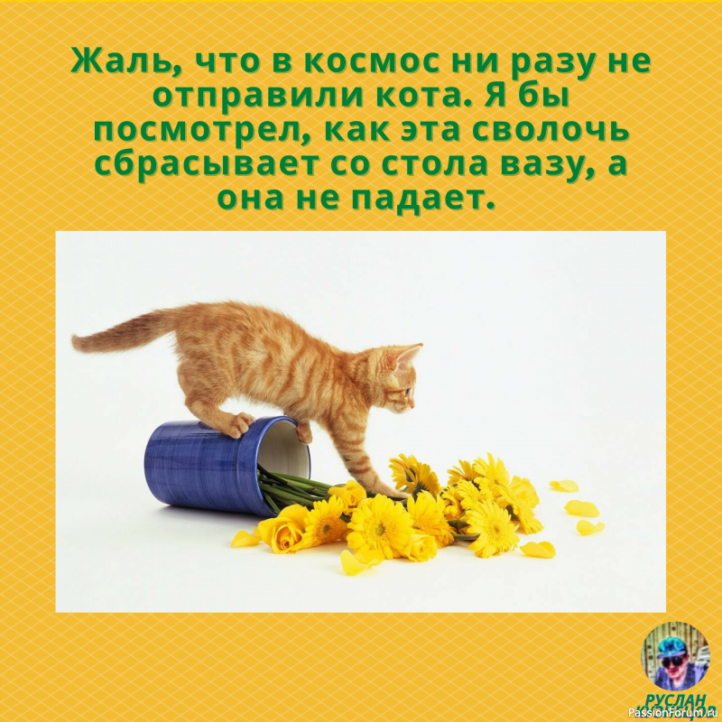 АнЕкДоТы С кАрТиНкАмИ ☜═㋡