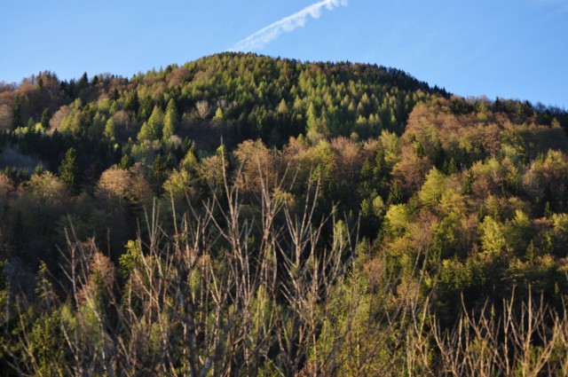 Весна в Альпах