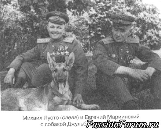 Четырехлапым защитникам Отечества Посвящается...
