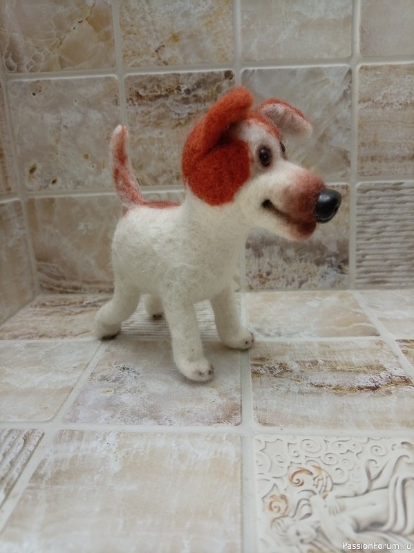 Собака