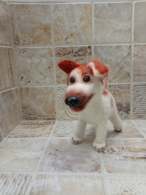 Собака