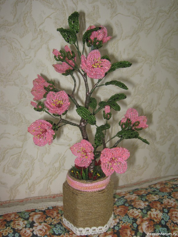 Сакура