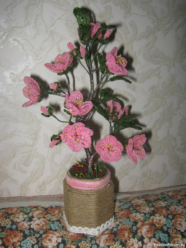 Сакура