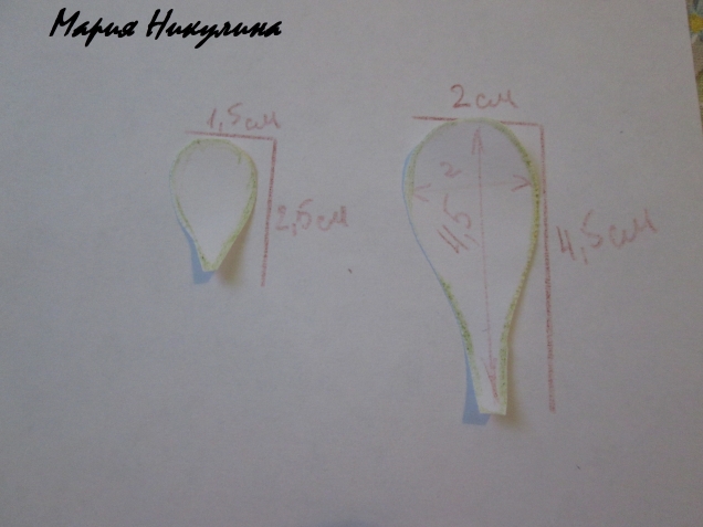 Рисуем на бумаге или картоне выкройки будующего цветка фрезии