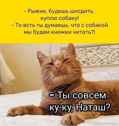 Юмор в картинках...