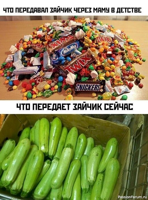 Картинки с юмором (из Интернета).