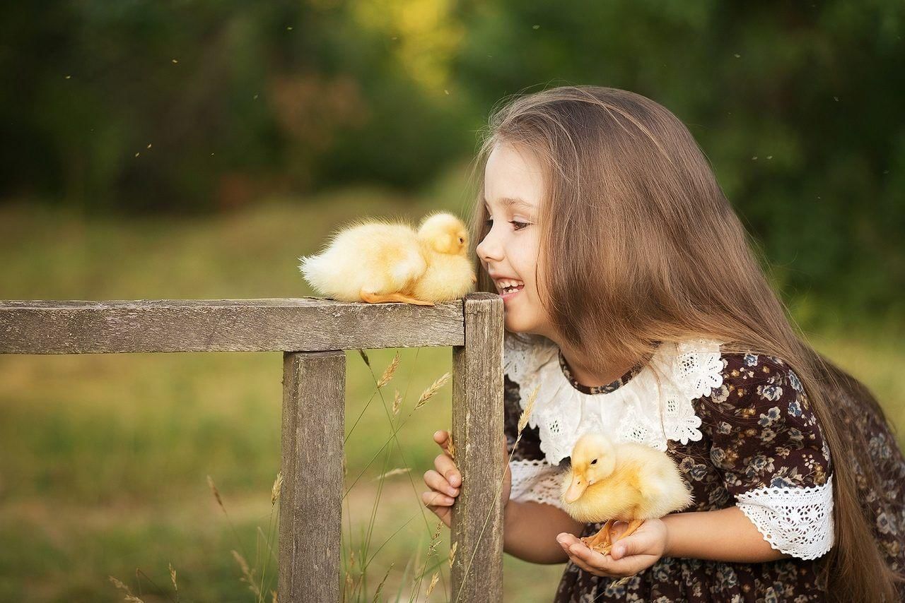Люди проявляют доброту. О доброте. Цыпленок девочка. Люди добрые. Фотосессия с цыплятами и детьми.