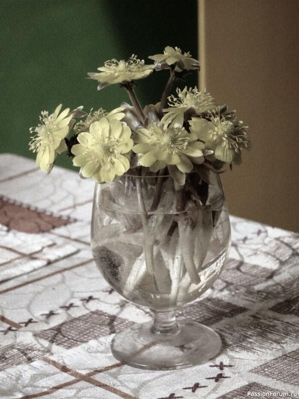 Тигра бояться - в лес не ходить, или вышитая "Сиеста"