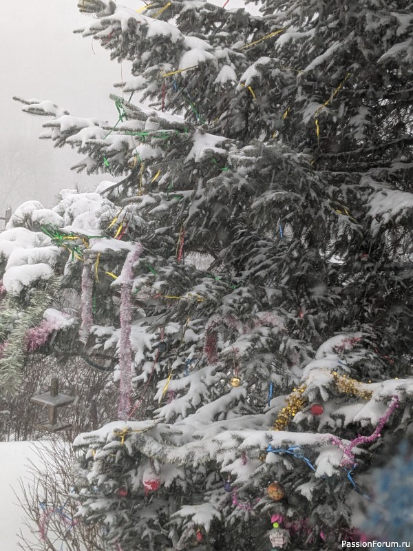 Где-то на белом свете...