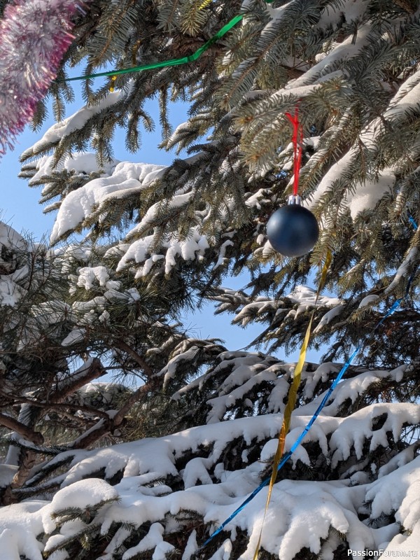 Где-то на белом свете...