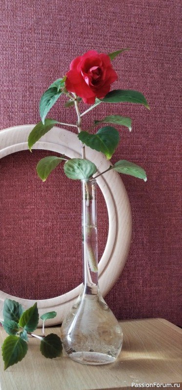 Вышивка "Три грации"