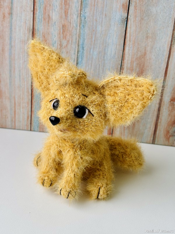 Фенёк пустынный лисенок