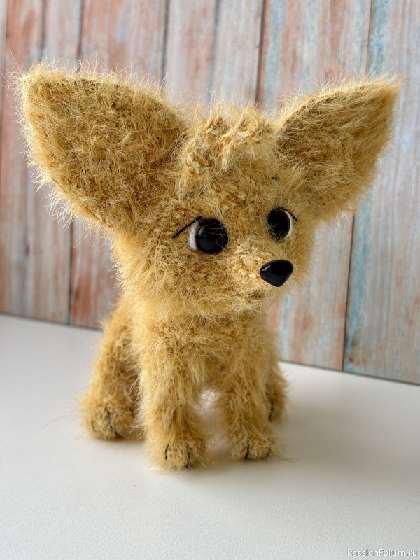 Фенёк пустынный лисенок