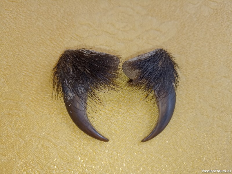 Брелки из когтей медведя