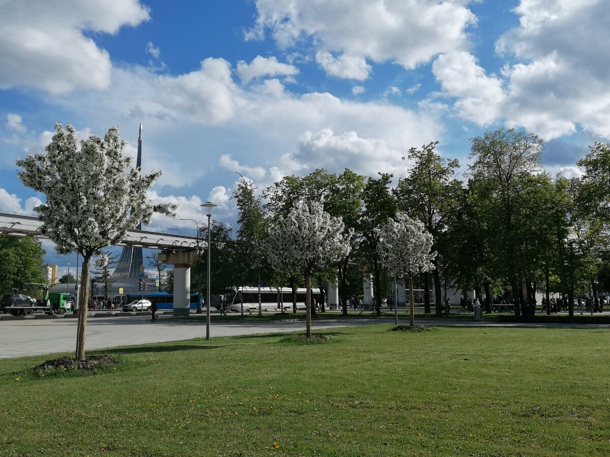 О моём путешествии в Москву в этом году. 1 часть.