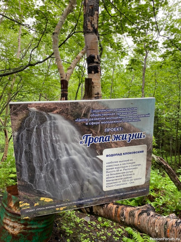 Воспоминания о лете