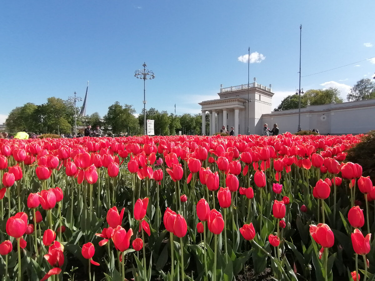 29 мая. Прогулки по Москве.