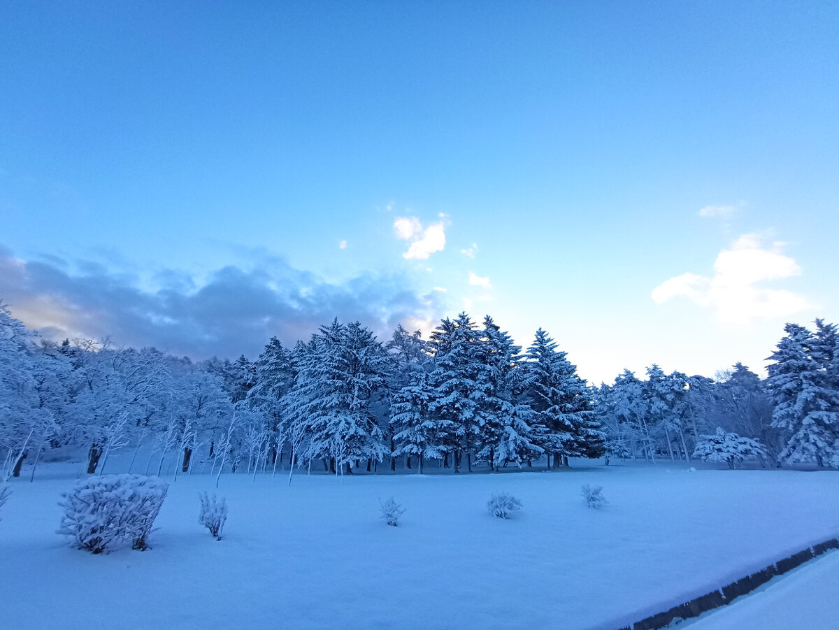 Зима. Южно-Сахалинск. Фото автора.