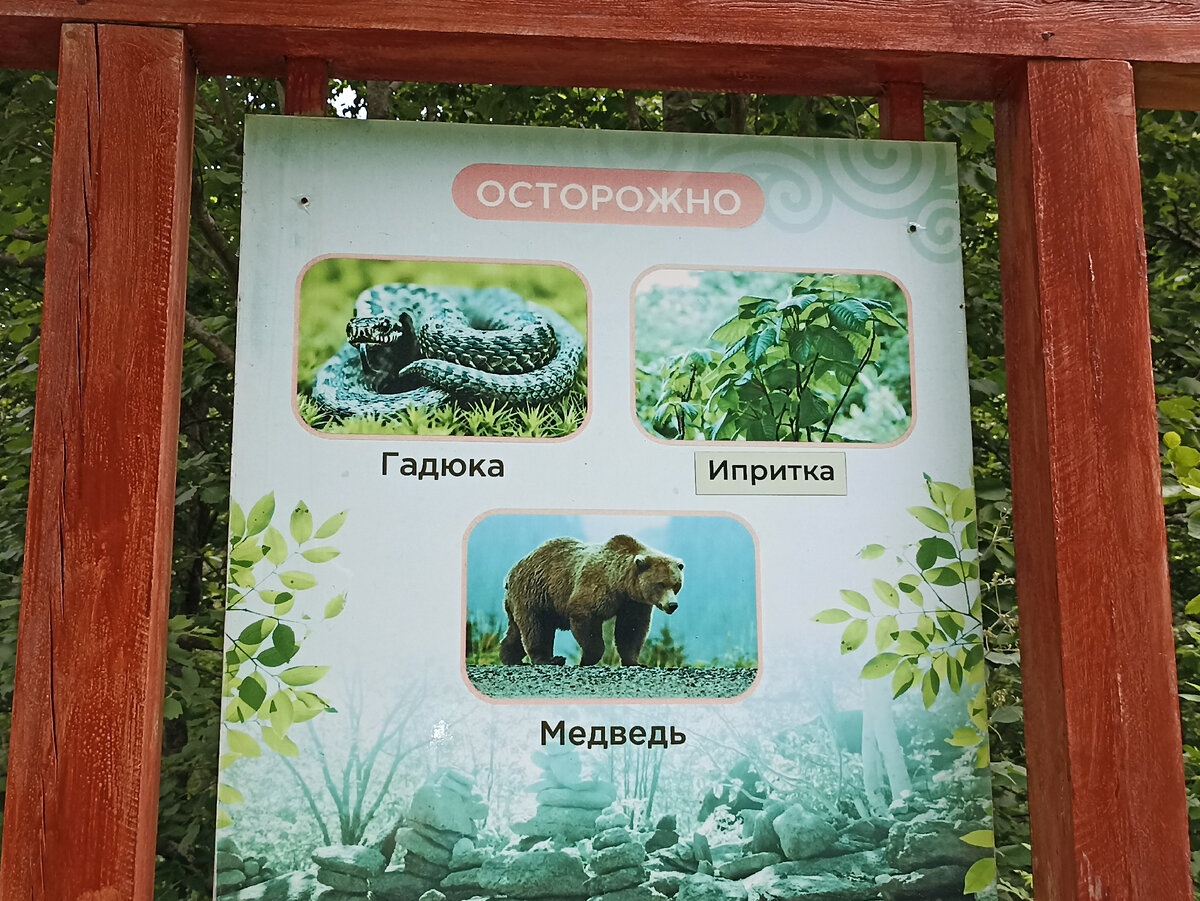 Место силы Весточка на Сахалине