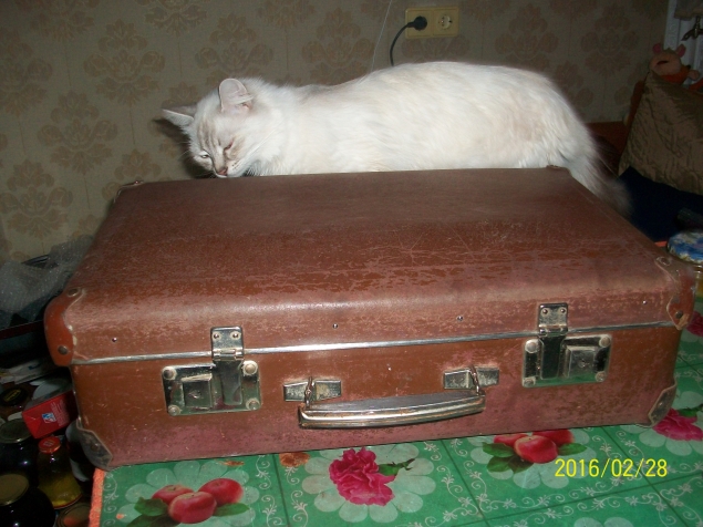 Реанимация старенького чемодана(вып.1952г)