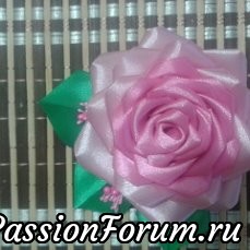 Розы на любой вкус