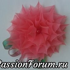 Из капроновой ленты