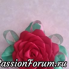 Розы на любой вкус