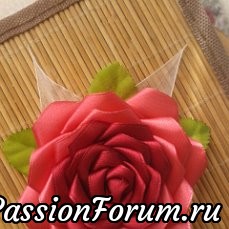 Розы на любой вкус