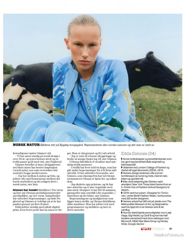 Вязаные проекты спицами в журнале «VG Strikk Magazine №48 2025»