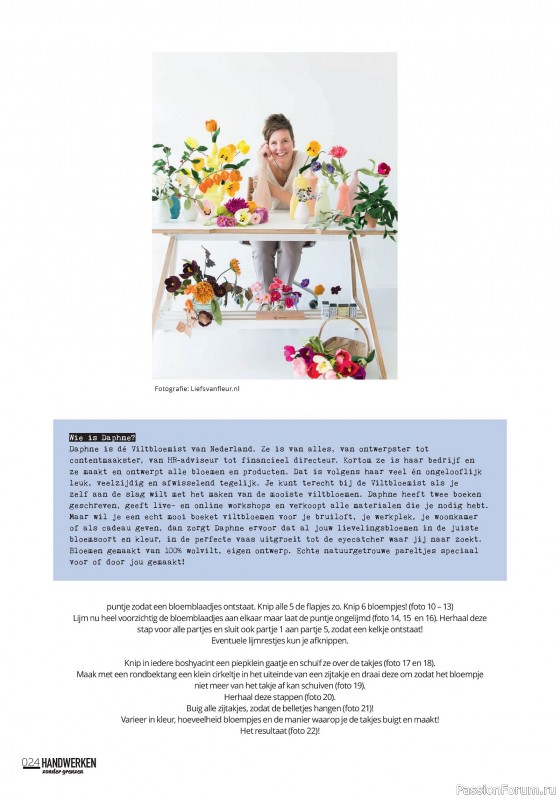 Коллекция проектов для рукодельниц в журнале &laquo;Handwerken Zonder Grenzen №254 2026&raquo;