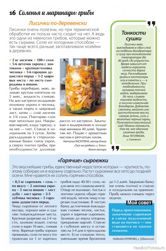 Коллекция кулинарных рецептов в журнале «Сваты. Заготовки №8 2026»