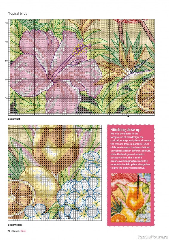 Коллекция вышивки в журнале «Cross Stitch Birds - March 2025»