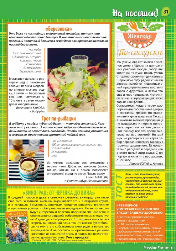 Коллекция кулинарных рецептов в журнале «Наша кухня Салаты и Закуски №4 2024»