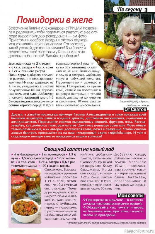 Коллекция кулинарных рецептов в журнале «Сваты. Заготовки №10 2025»