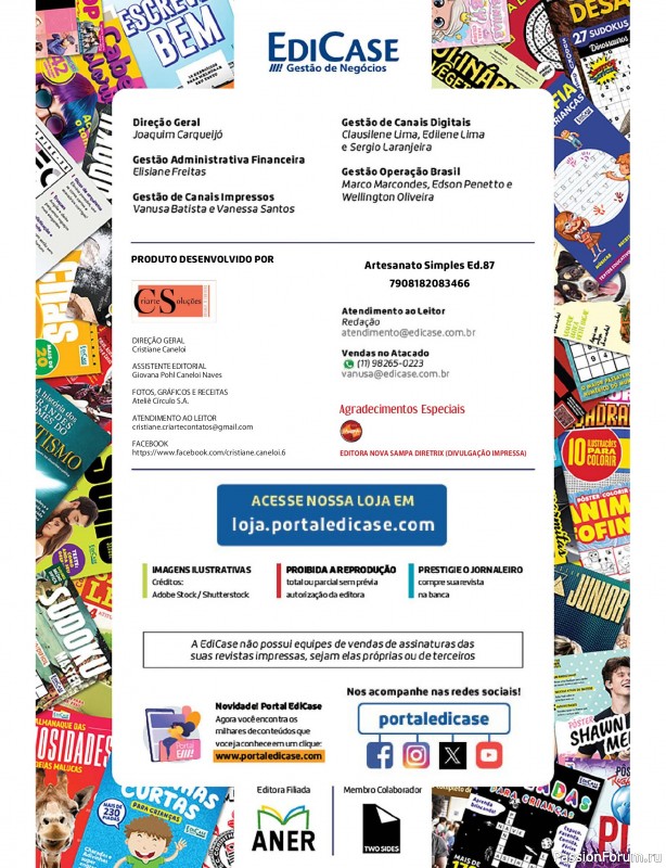 Вязаные проекты крючком в журнале &laquo;Artesanato Simples Ed.87 Croche com Fios Barroco&raquo;