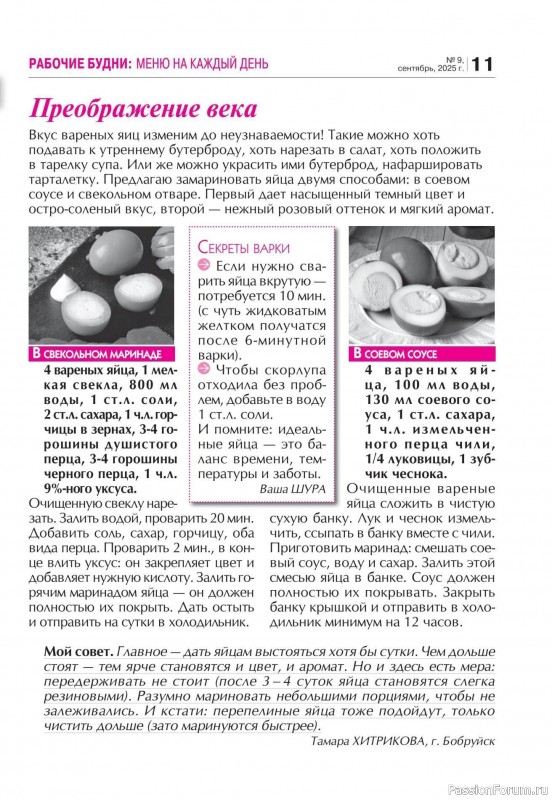 Коллекция кулинарных рецептов в журнале «Кухонька Михалыча №9 2025»