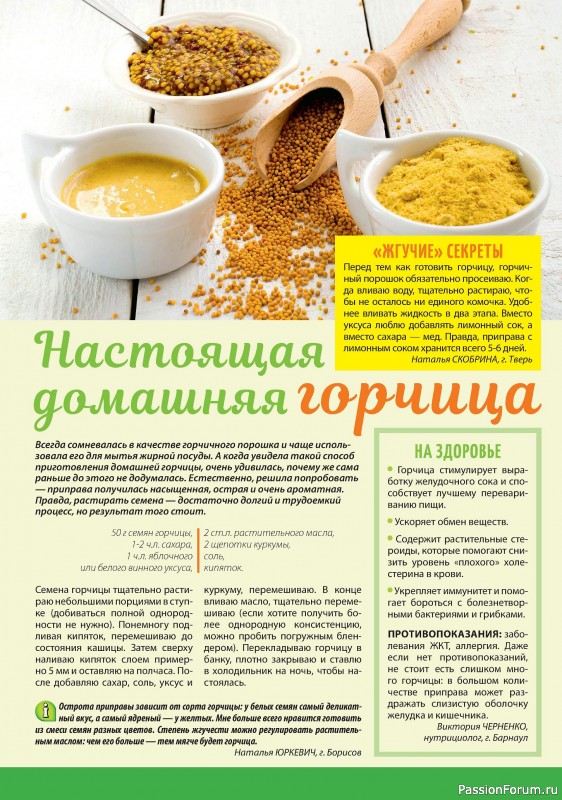 Коллекция кулинарных рецептов в журнале «Наша кухня Салаты и Закуски №1 2024»